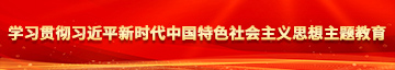 爆操老啊姨www学习贯彻习近平新时代中国特色社会主义思想主题教育